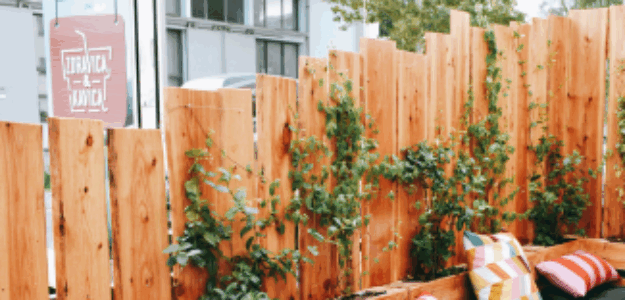 Zdravica & Kavica - Martinovka