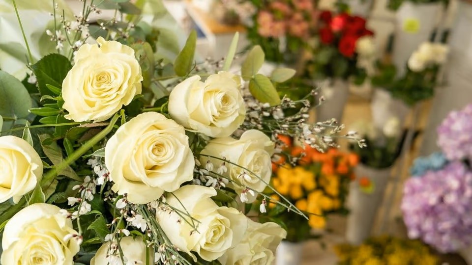 Cvjećarna Eluni - Aleja Hermanna Bollea