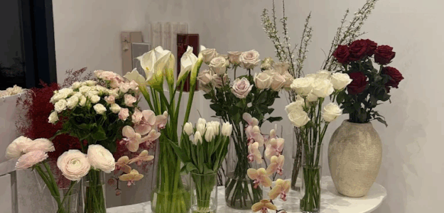 DBloom.hr